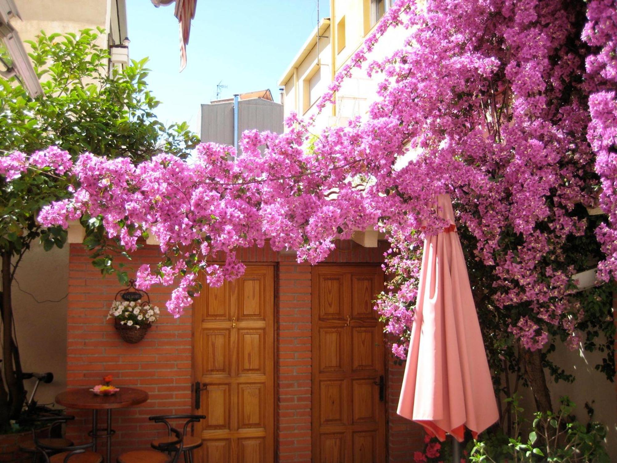 Pension Casa Austria Calella Luaran gambar